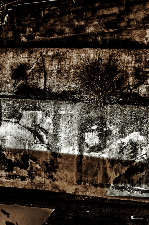 Theatre in the backyard