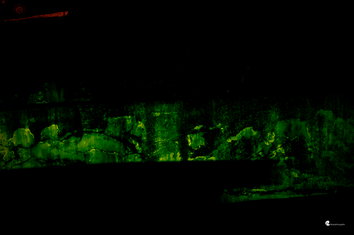 Theatre in the backyard